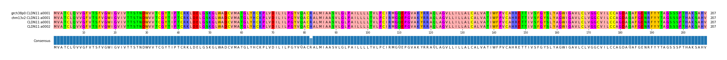Multiple Alignments (by translate haplotype similarity)