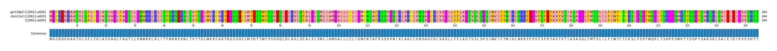 Multiple Alignments (by translate haplotype similarity)