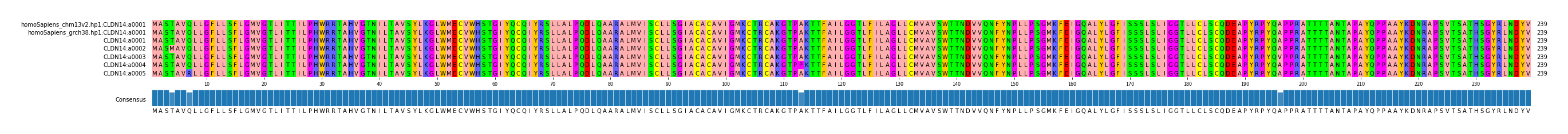 Multiple Alignments (by translate haplotype frequency)