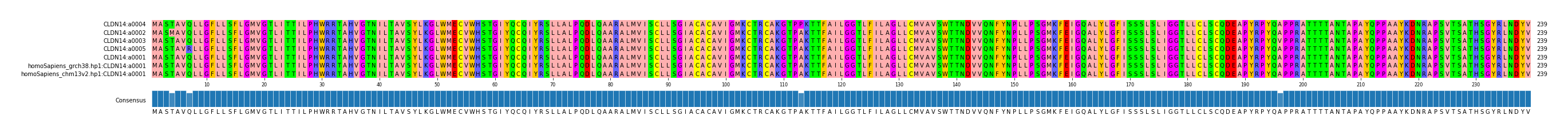 Multiple Alignments (by translate haplotype similarity)
