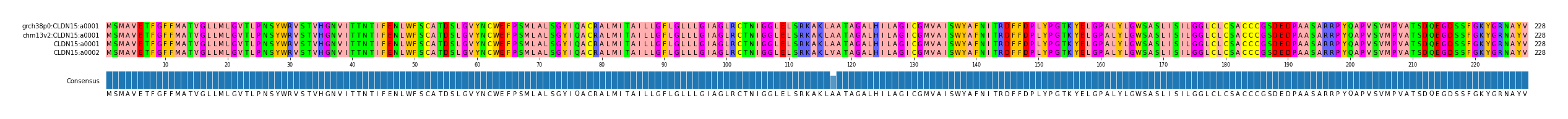 Multiple Alignments (by translate haplotype similarity)