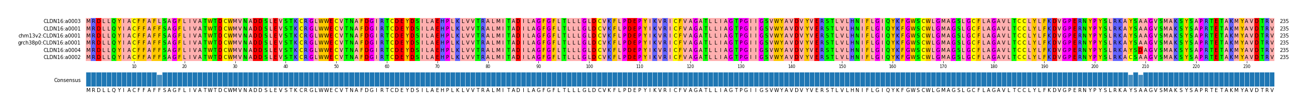 Multiple Alignments (by translate haplotype similarity)