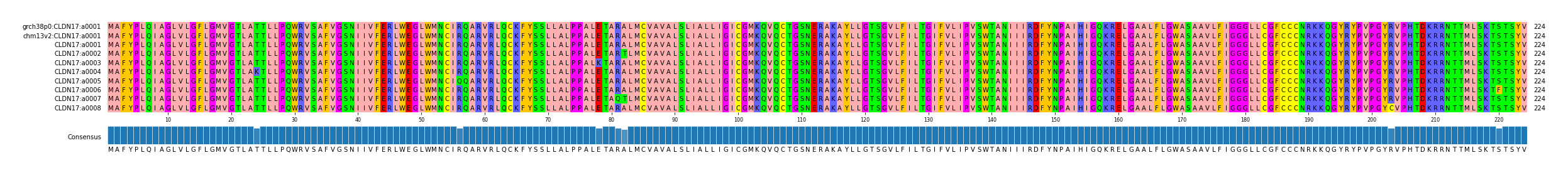 Multiple Alignments (by translate haplotype frequency)