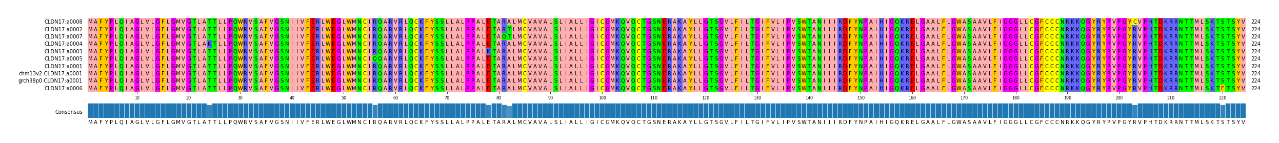 Multiple Alignments (by translate haplotype similarity)
