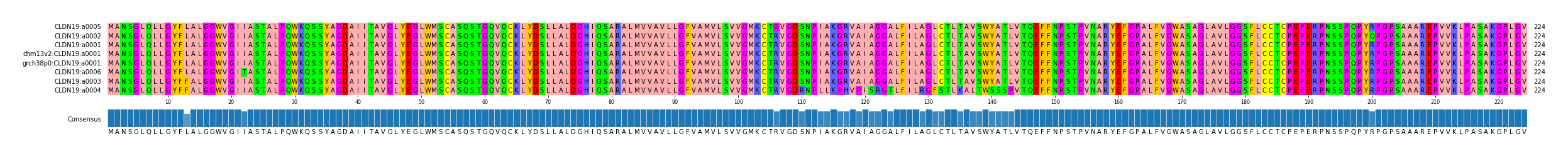 Multiple Alignments (by translate haplotype similarity)