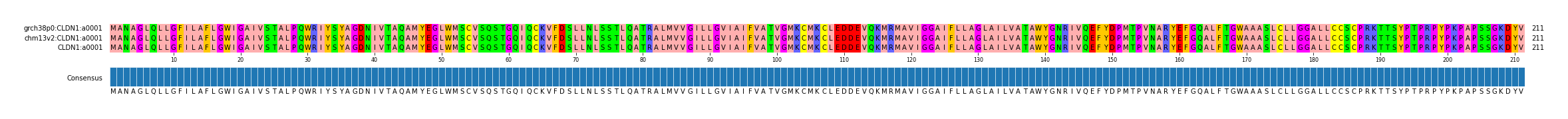 Multiple Alignments (by translate haplotype similarity)