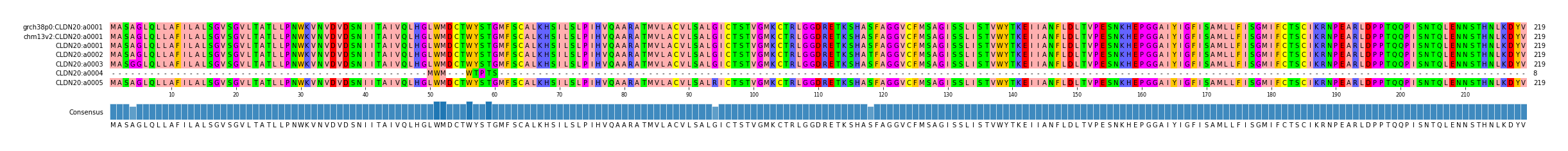 Multiple Alignments (by translate haplotype frequency)