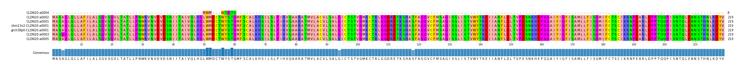 Multiple Alignments (by translate haplotype similarity)
