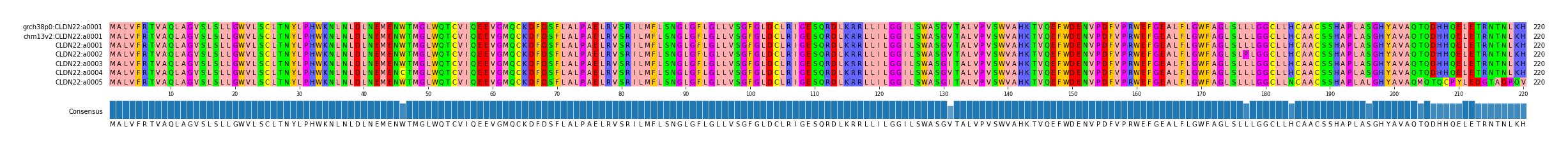 Multiple Alignments (by translate haplotype frequency)