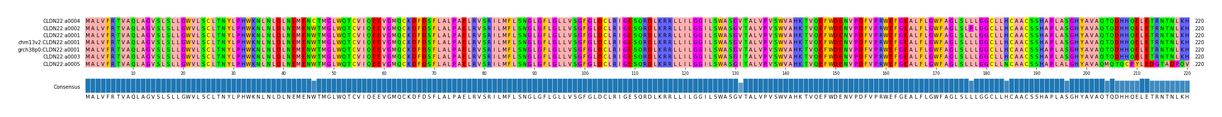 Multiple Alignments (by translate haplotype similarity)