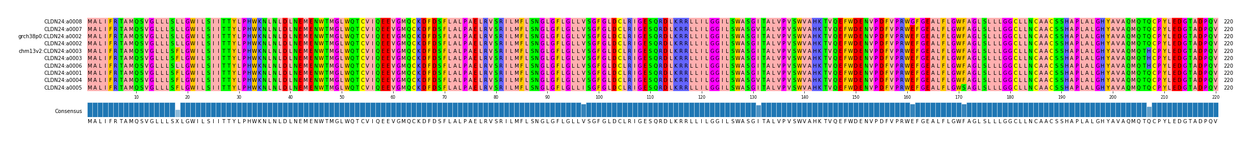 Multiple Alignments (by translate haplotype similarity)