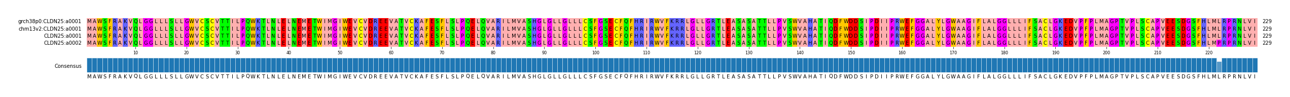Multiple Alignments (by translate haplotype similarity)