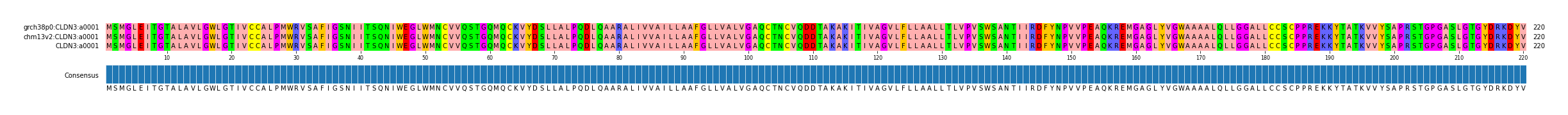 Multiple Alignments (by translate haplotype similarity)