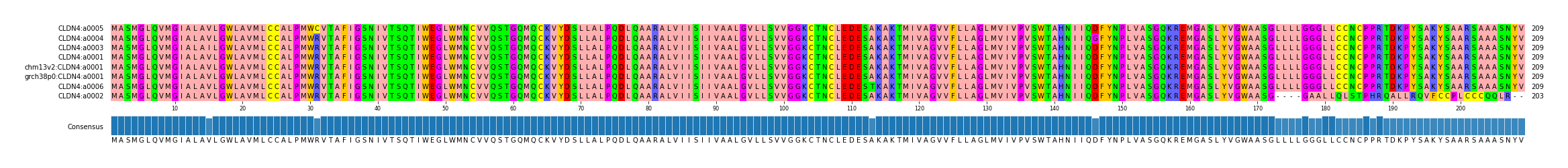 Multiple Alignments (by translate haplotype similarity)