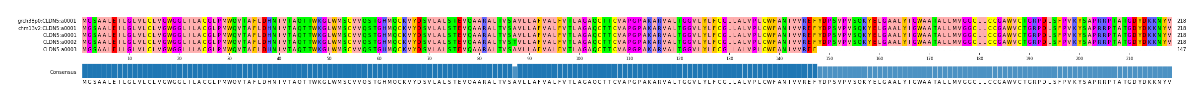 Multiple Alignments (by translate haplotype frequency)