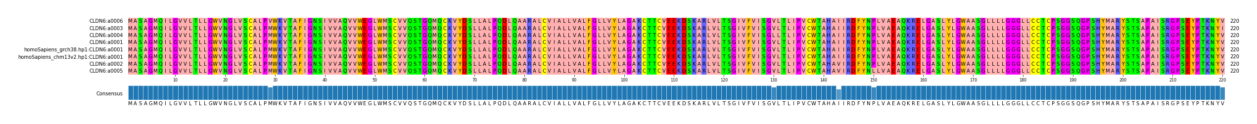 Multiple Alignments (by translate haplotype similarity)