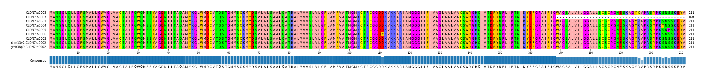 Multiple Alignments (by translate haplotype similarity)