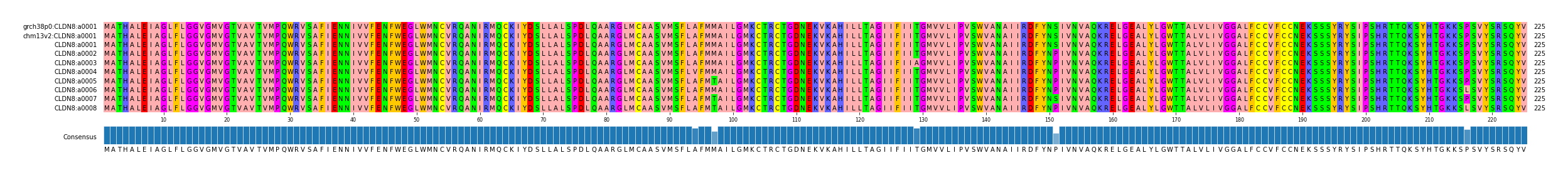 Multiple Alignments (by translate haplotype frequency)