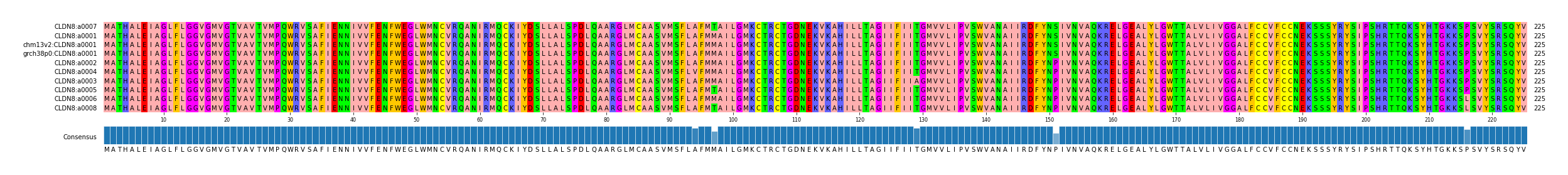 Multiple Alignments (by translate haplotype similarity)