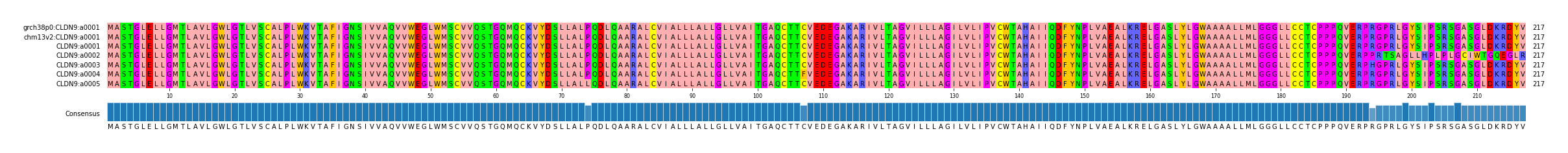 Multiple Alignments (by translate haplotype frequency)