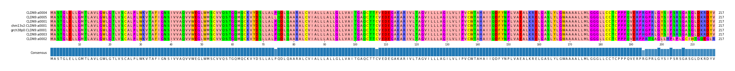 Multiple Alignments (by translate haplotype similarity)