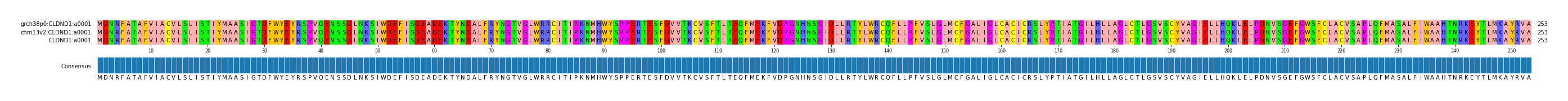Multiple Alignments (by translate haplotype similarity)