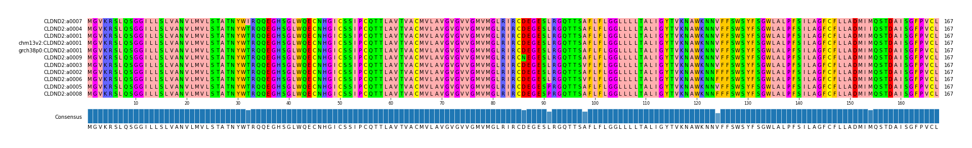 Multiple Alignments (by translate haplotype similarity)