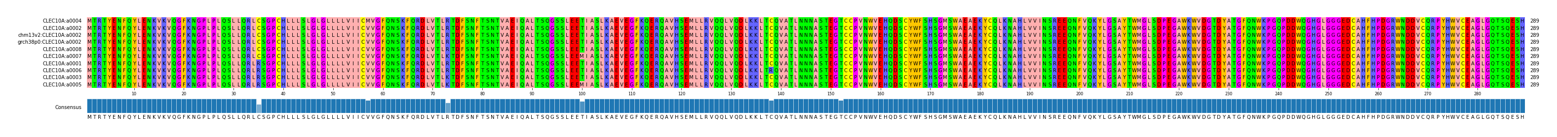 Multiple Alignments (by translate haplotype similarity)