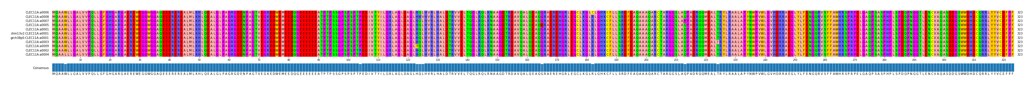 Multiple Alignments (by translate haplotype similarity)