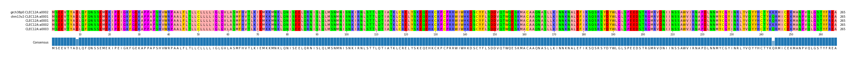 Multiple Alignments (by translate haplotype frequency)