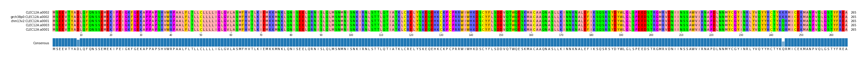 Multiple Alignments (by translate haplotype similarity)