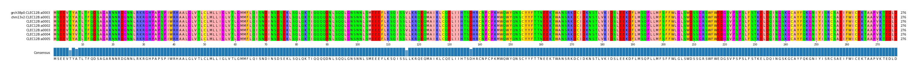 Multiple Alignments (by translate haplotype frequency)