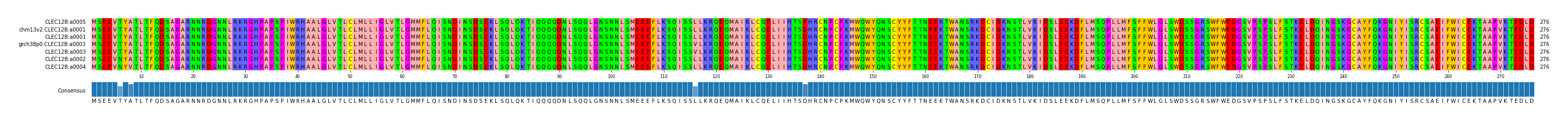 Multiple Alignments (by translate haplotype similarity)