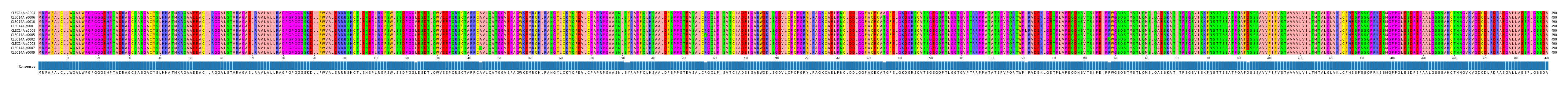 Multiple Alignments (by translate haplotype similarity)