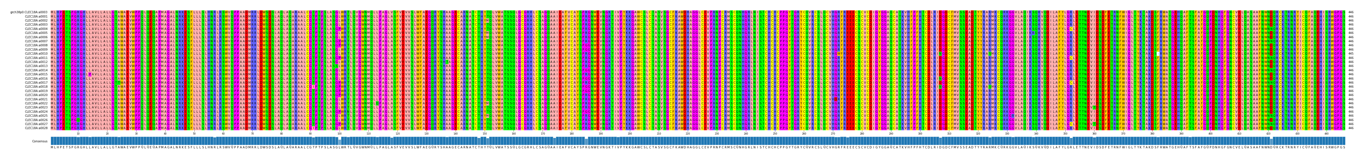 Multiple Alignments (by translate haplotype frequency)