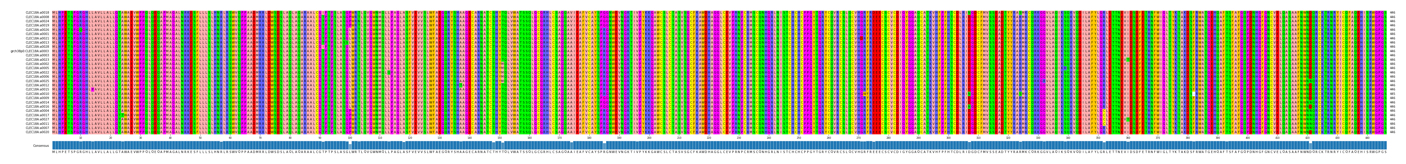 Multiple Alignments (by translate haplotype similarity)