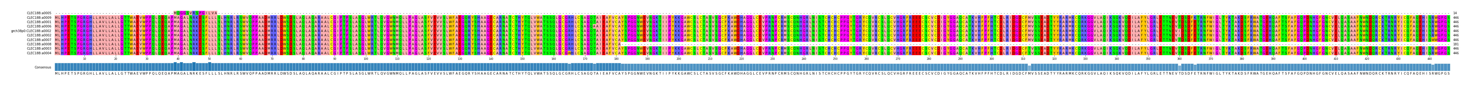 Multiple Alignments (by translate haplotype similarity)