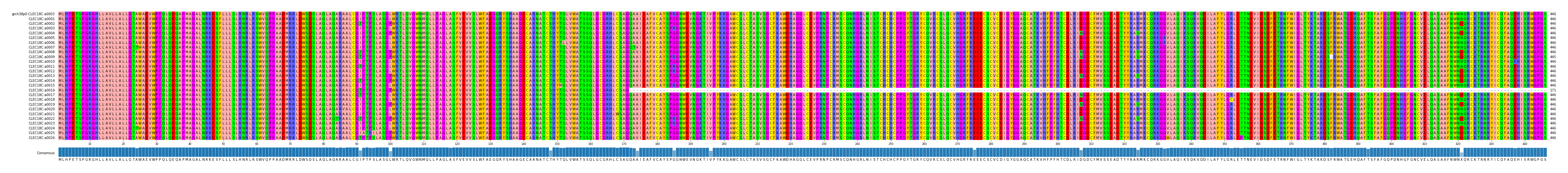Multiple Alignments (by translate haplotype frequency)