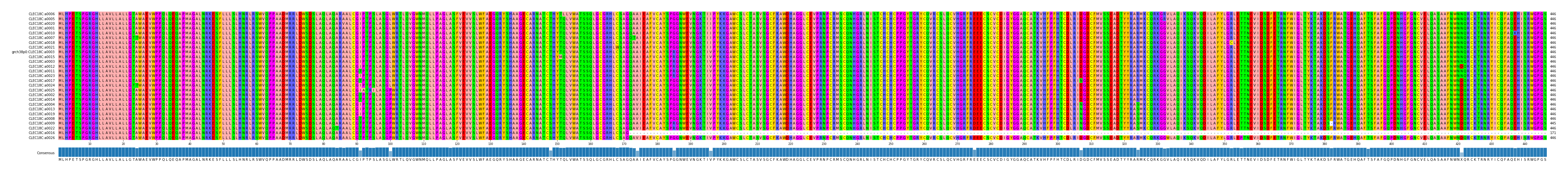 Multiple Alignments (by translate haplotype similarity)
