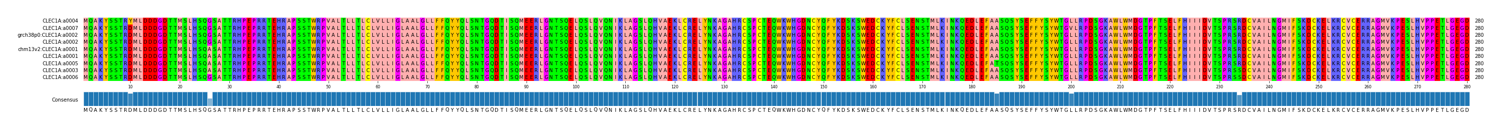 Multiple Alignments (by translate haplotype similarity)