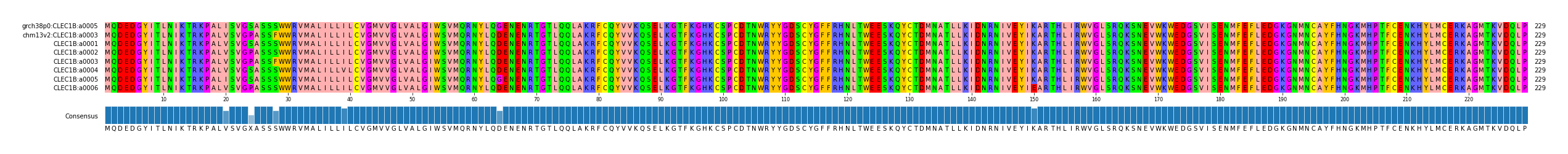 Multiple Alignments (by translate haplotype frequency)