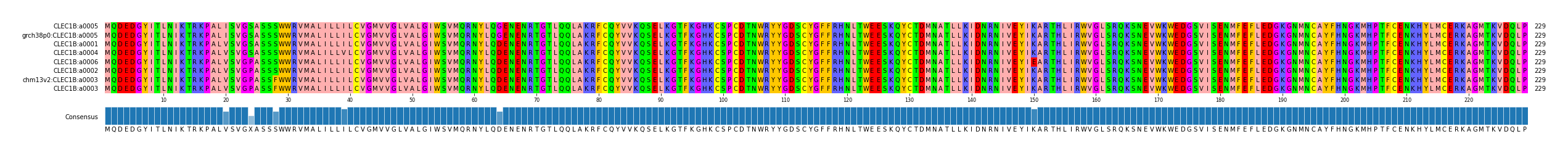 Multiple Alignments (by translate haplotype similarity)