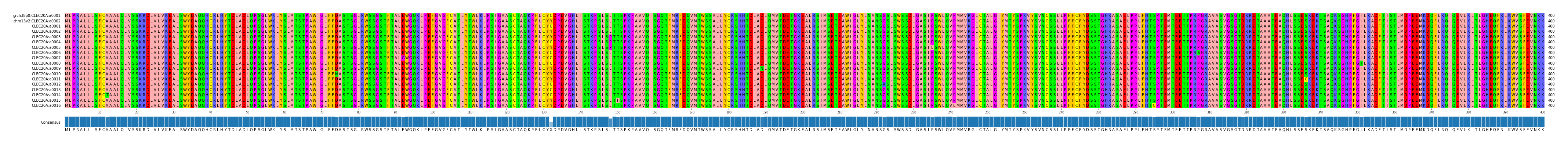 Multiple Alignments (by translate haplotype frequency)