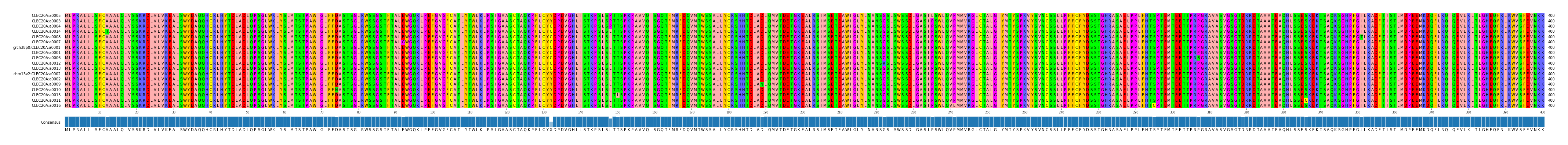 Multiple Alignments (by translate haplotype similarity)