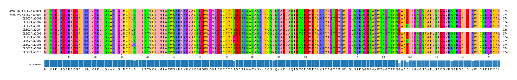 Multiple Alignments (by translate haplotype frequency)
