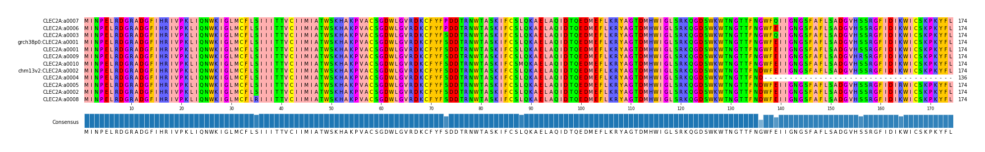 Multiple Alignments (by translate haplotype similarity)