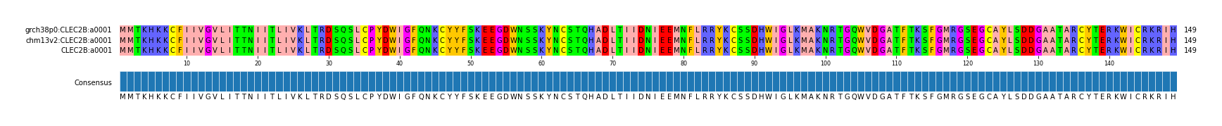 Multiple Alignments (by translate haplotype similarity)