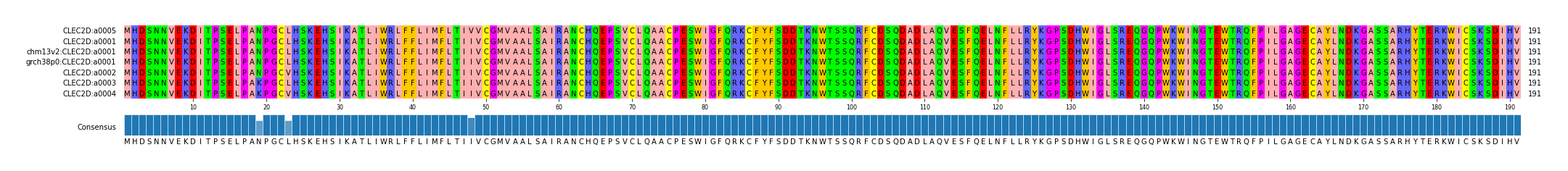 Multiple Alignments (by translate haplotype similarity)