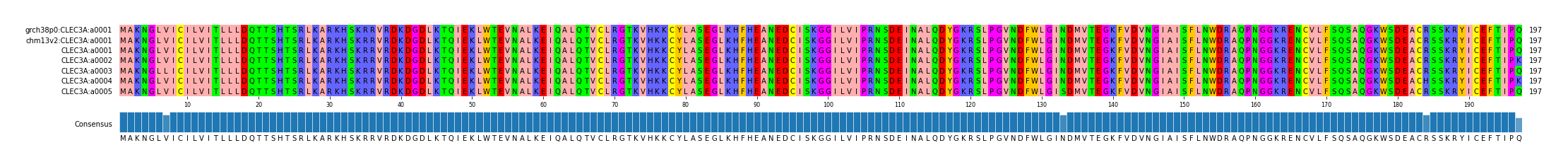 Multiple Alignments (by translate haplotype frequency)