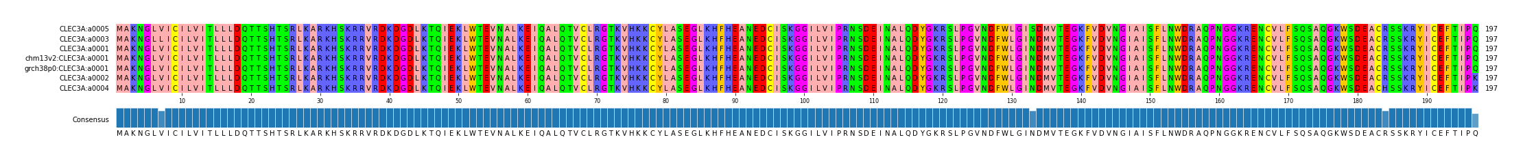 Multiple Alignments (by translate haplotype similarity)